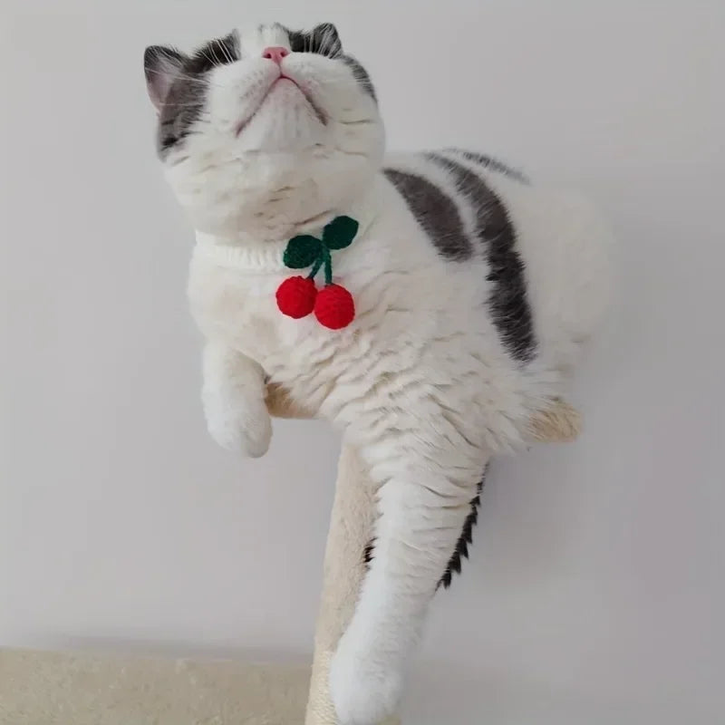 Pet Collar Handmade Knitted Cat Collar With CNecklace Cat