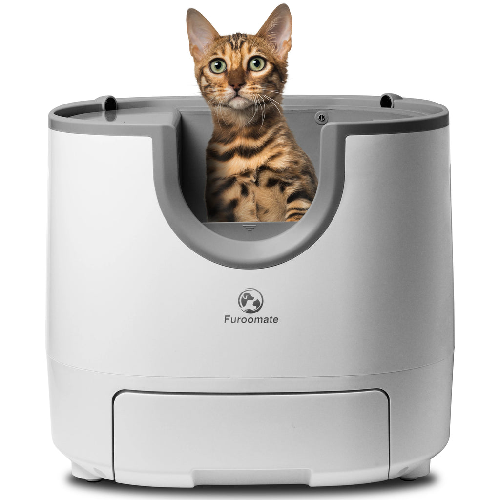 Self-Cleaning Cat Litter Box