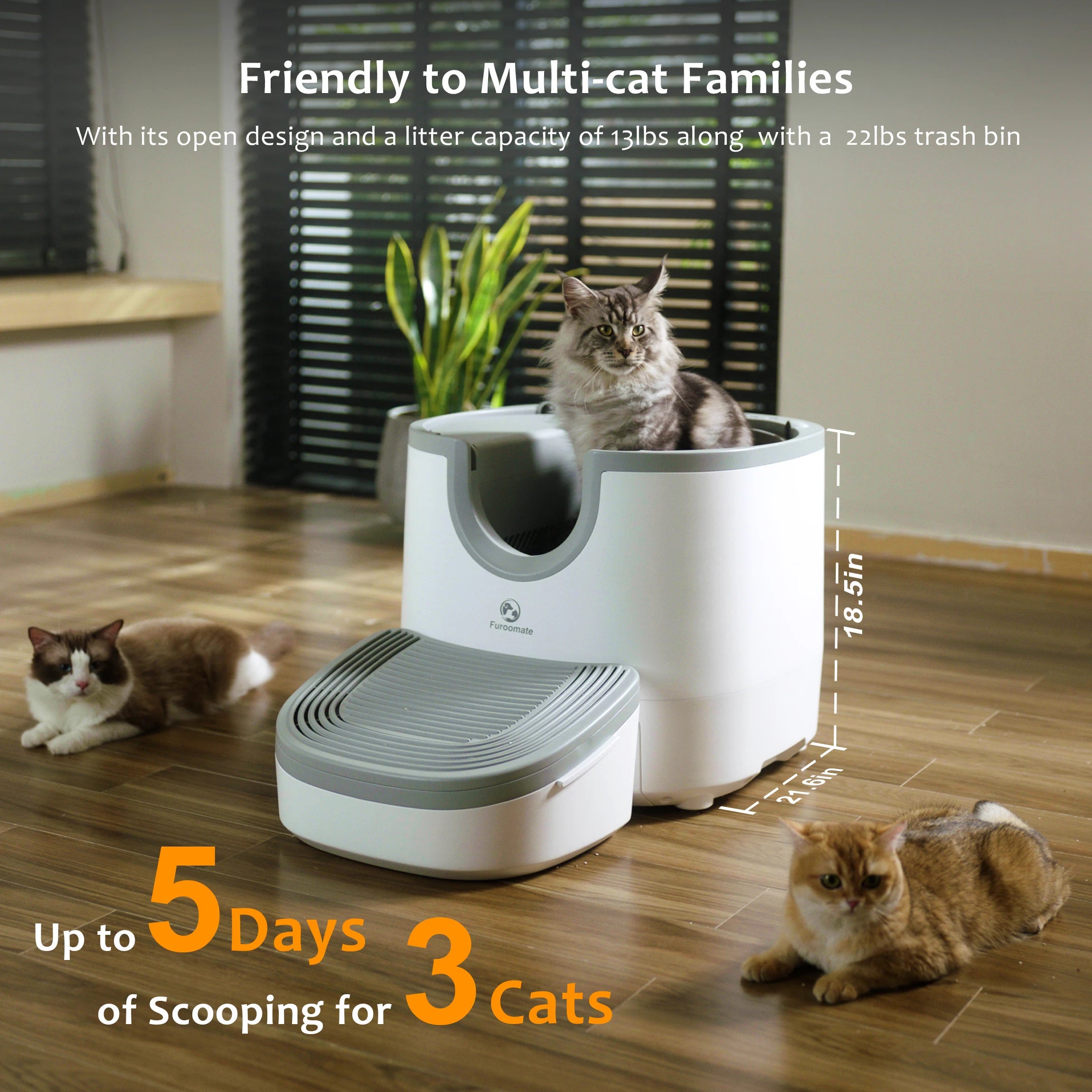 Self-Cleaning Cat Litter Box